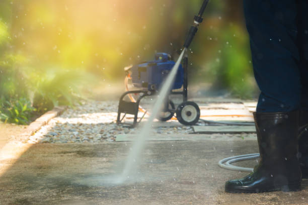 Best Sidewalk and Walkway Cleaning  in Parsons, WV